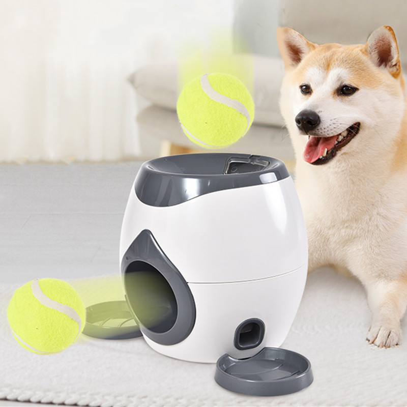 Pet Supplies Rewards - Jouet interactif pour chien 2 en