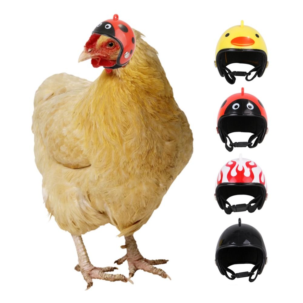 Pet X Supplies & Tack Reviews - Accessoires pour animaux de compagnie ABS
