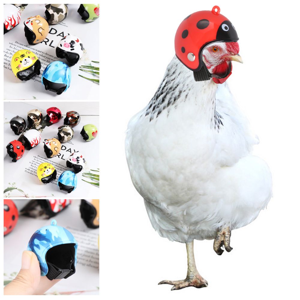 Pet X Supplies & Tack Reviews - Casque de protection amusant pour animaux