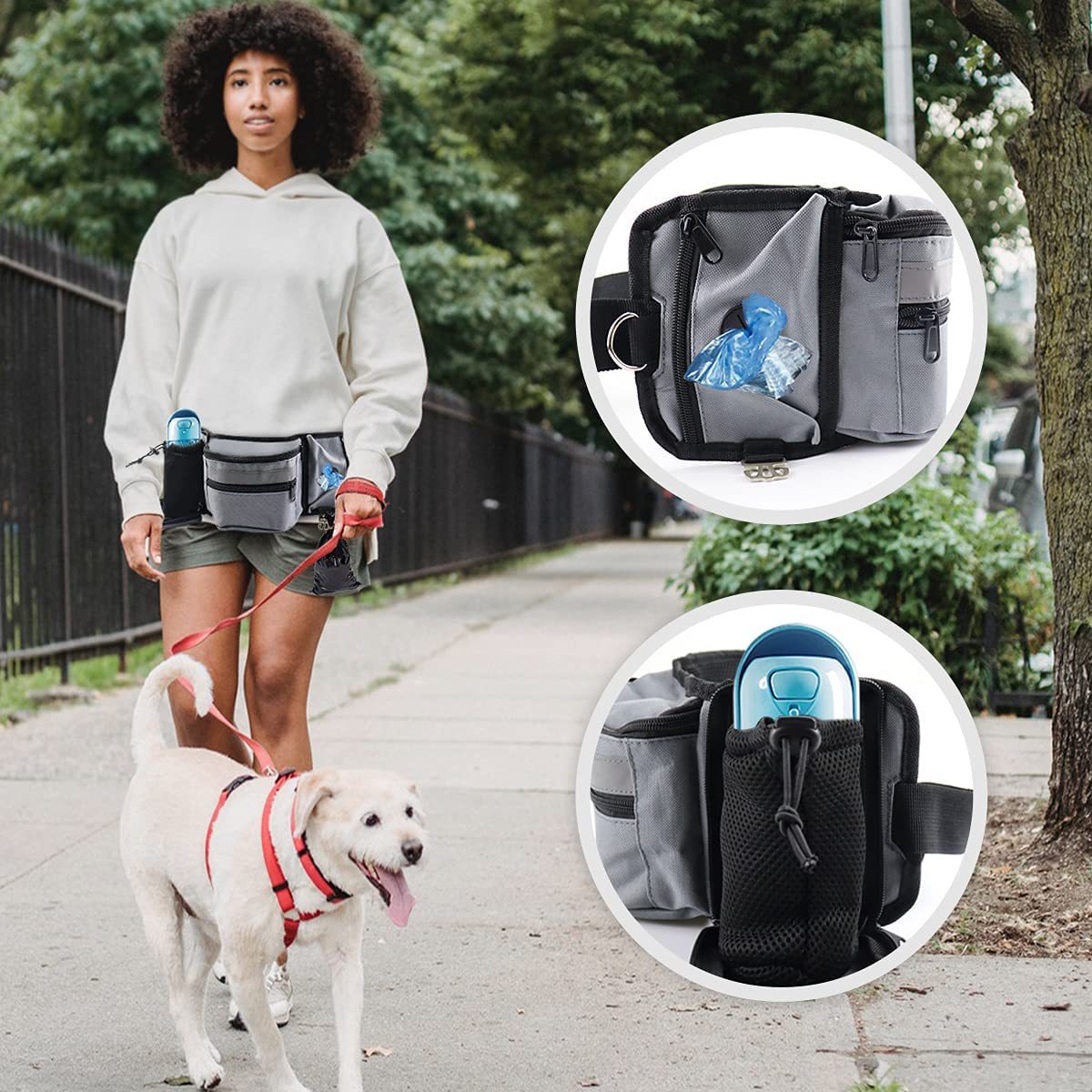 Poudres pour chien pour l'entr - Pet Supplies Rewards avis et prix