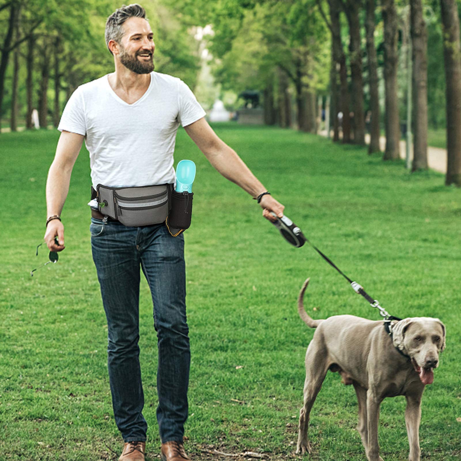 Poudres pour chien pour l'entr - Pet Supplies Rewards avis et prix