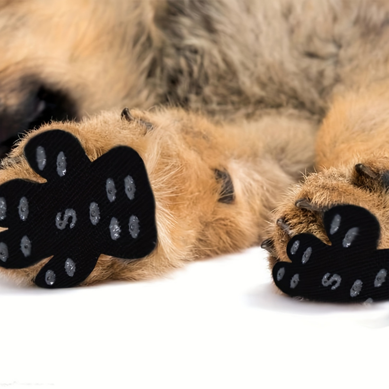 Coussinets antidérapants pour  - Dog Booties Paw Protector avis et prix