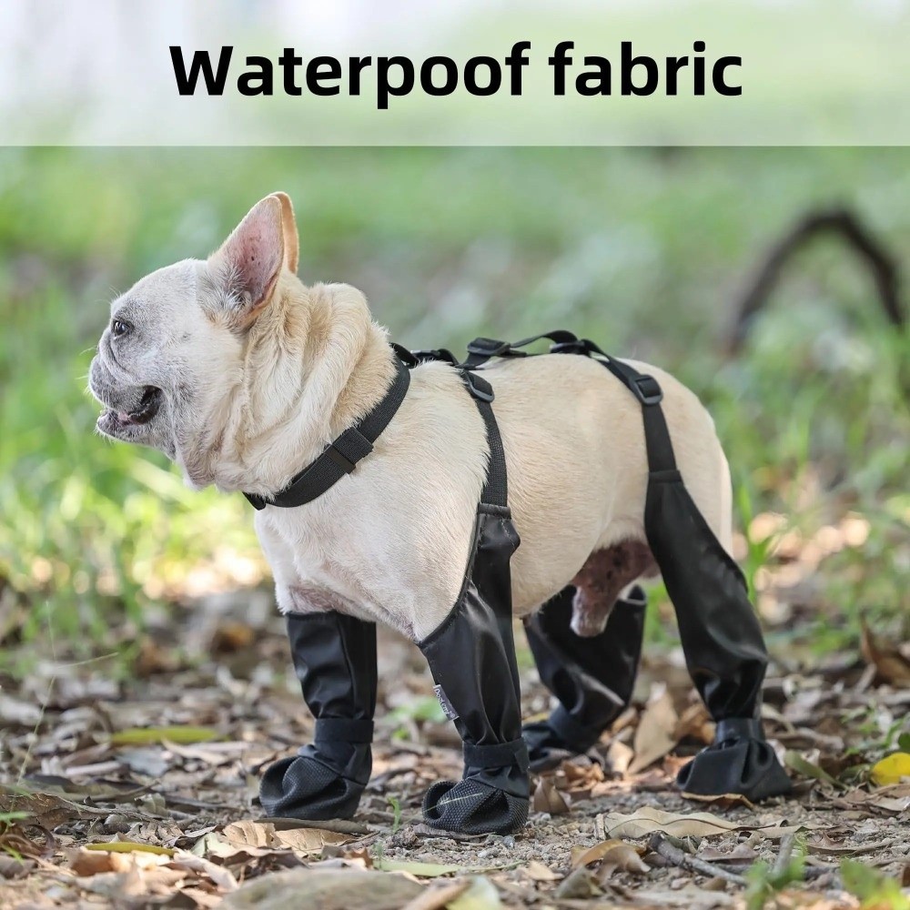 Chaussures Anti-chute imperméa - Dog Booties Paw Protector avis et prix
