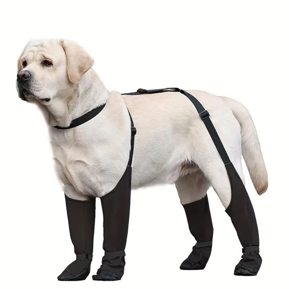 Chaussures Anti-chute imperméa - Dog Booties Paw Protector avis et prix