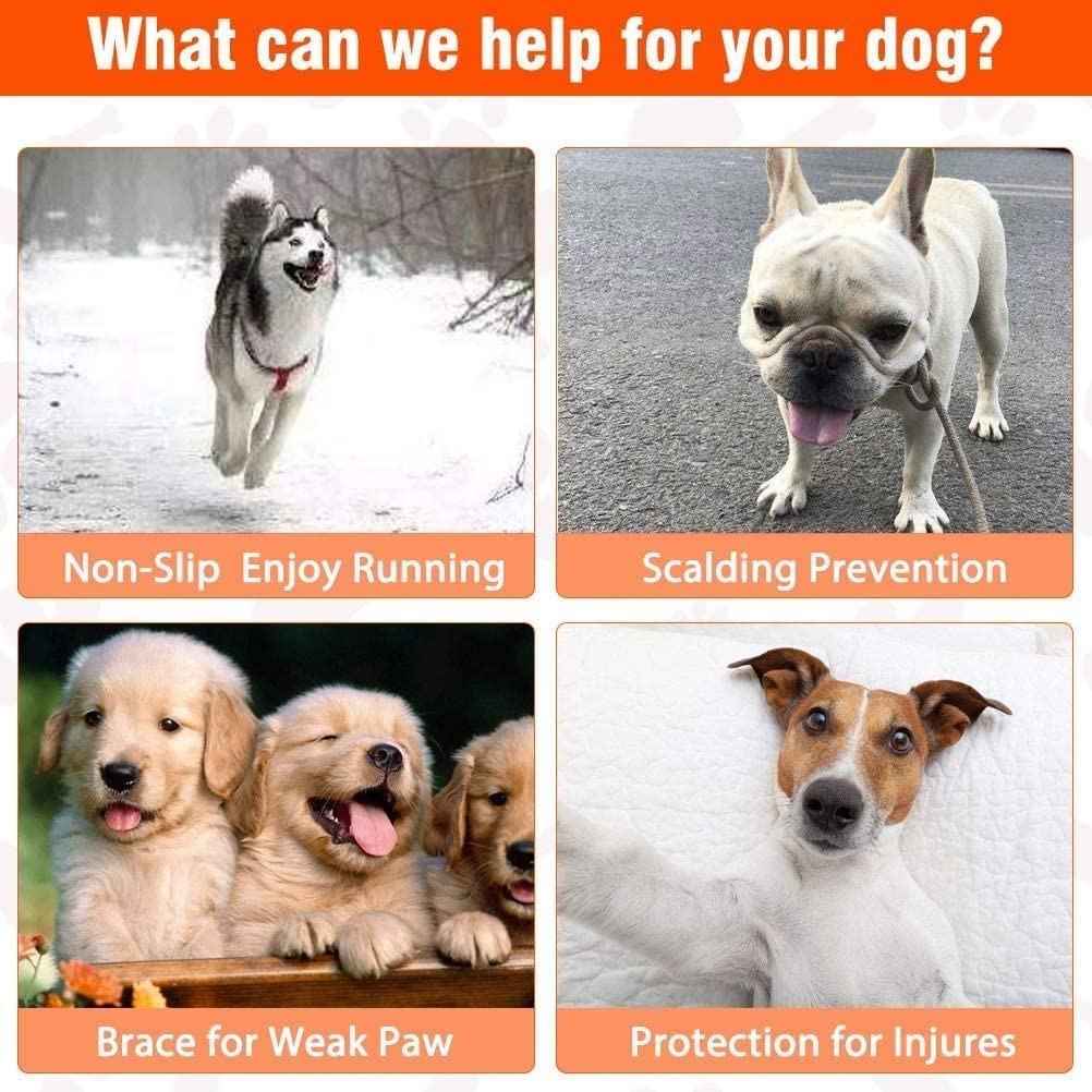 Protège-pattes pour chien, 24  - Dog Booties Paw Protector avis et prix