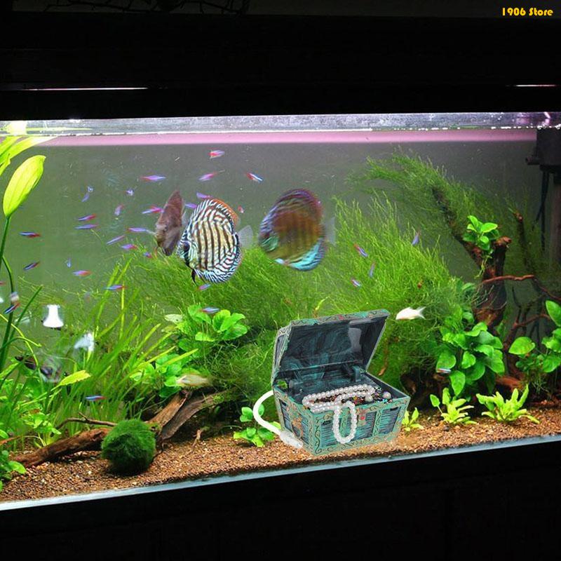 U1JB – décorations coffre trés - Pet X Supplies & Tack Reviews avis et prix