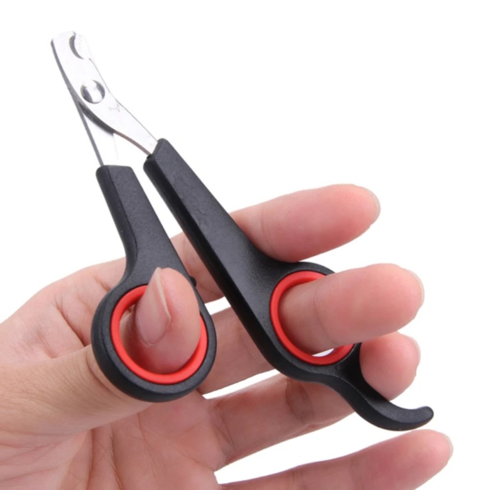 Coupe-ongles pour animaux de c - Pet Supplies Nail Trim avis et prix