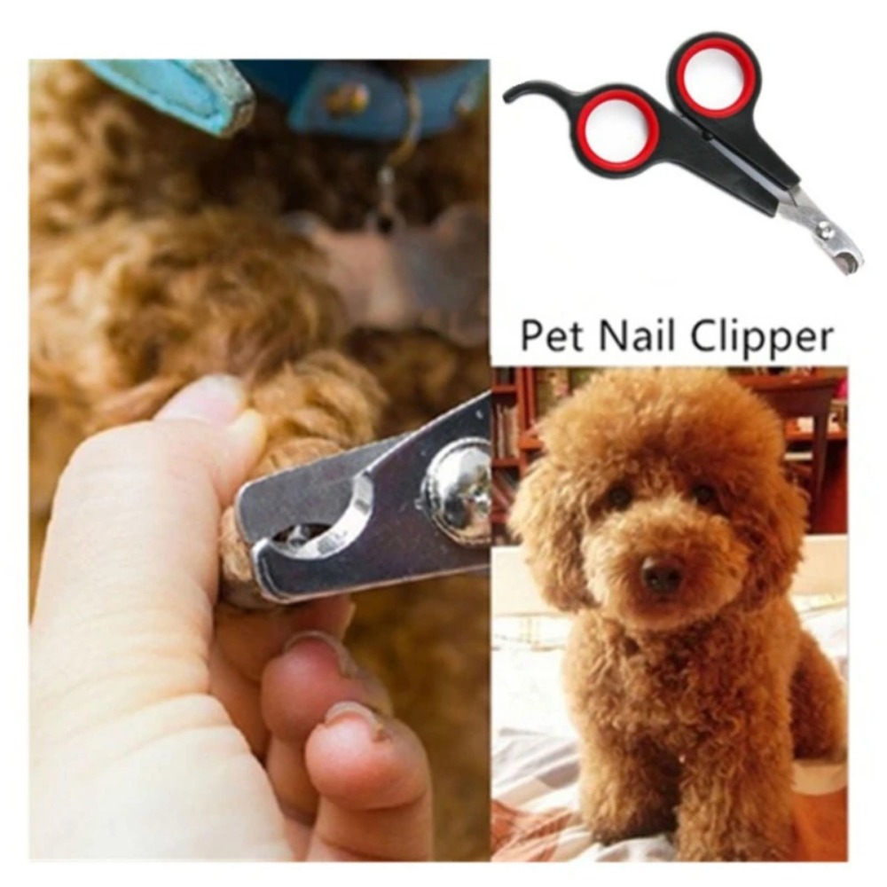 Coupe-ongles pour animaux de c - Pet Supplies Nail Trim avis et prix