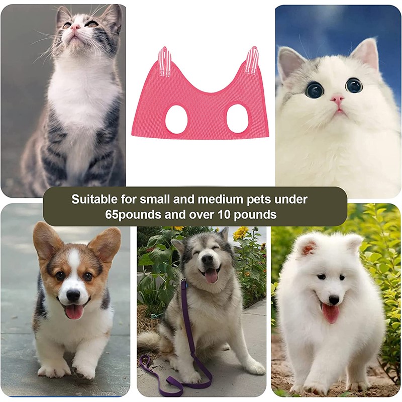 Hamac de toilettage pour anima - Pet Supplies Nail Trim avis et prix