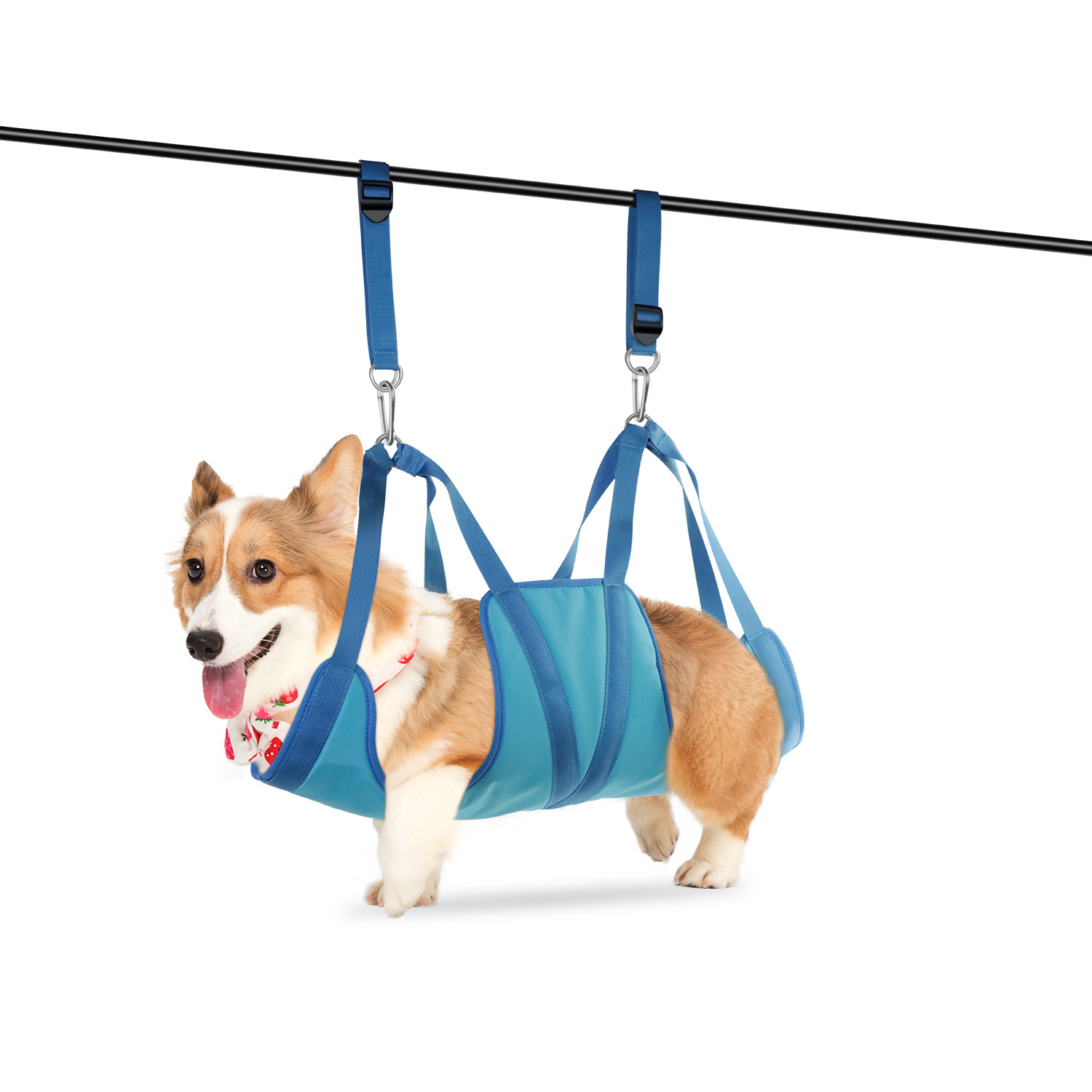 Hamac de toilettage pour anima - Pet Supplies Nail Trim avis et prix