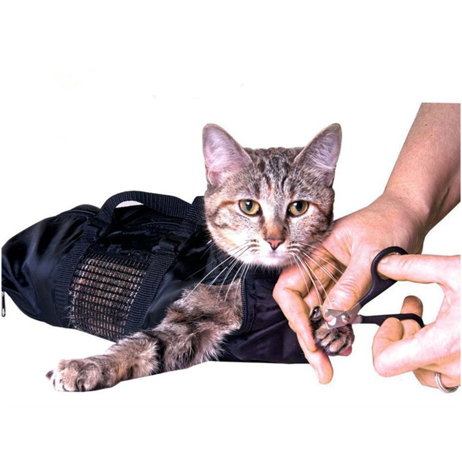 Sac de toile Oxford en maille  - Pet Supplies Nail Trim avis et prix