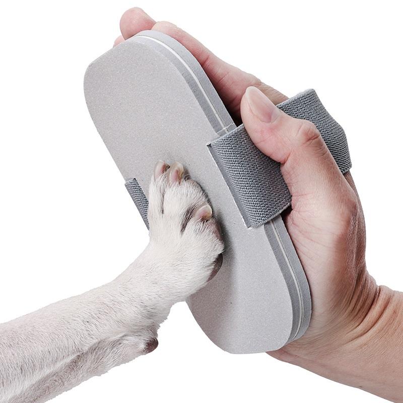 Lime à ongles pour animaux de  - Pet Supplies Nail Trim avis et prix