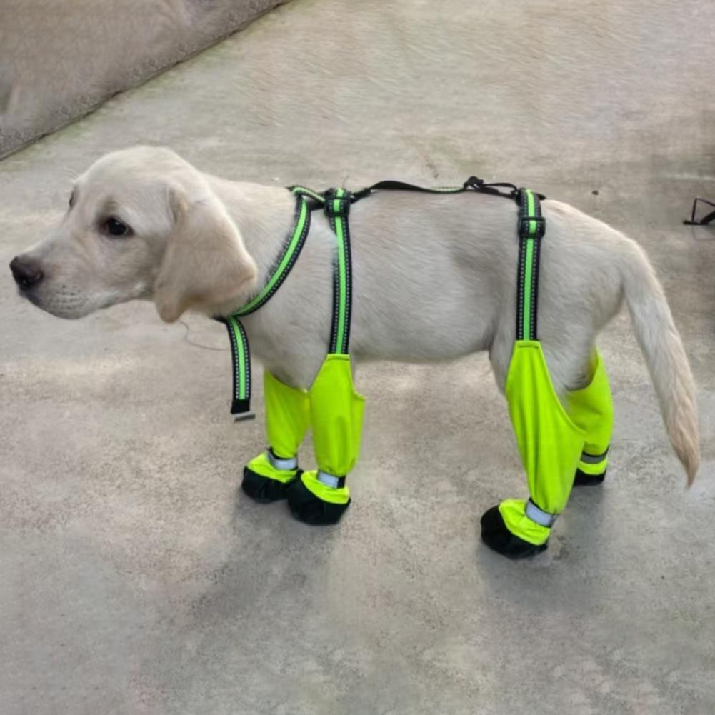 Bottes à Bretelles pour Chien  - Dog Booties Paw Protector avis et prix