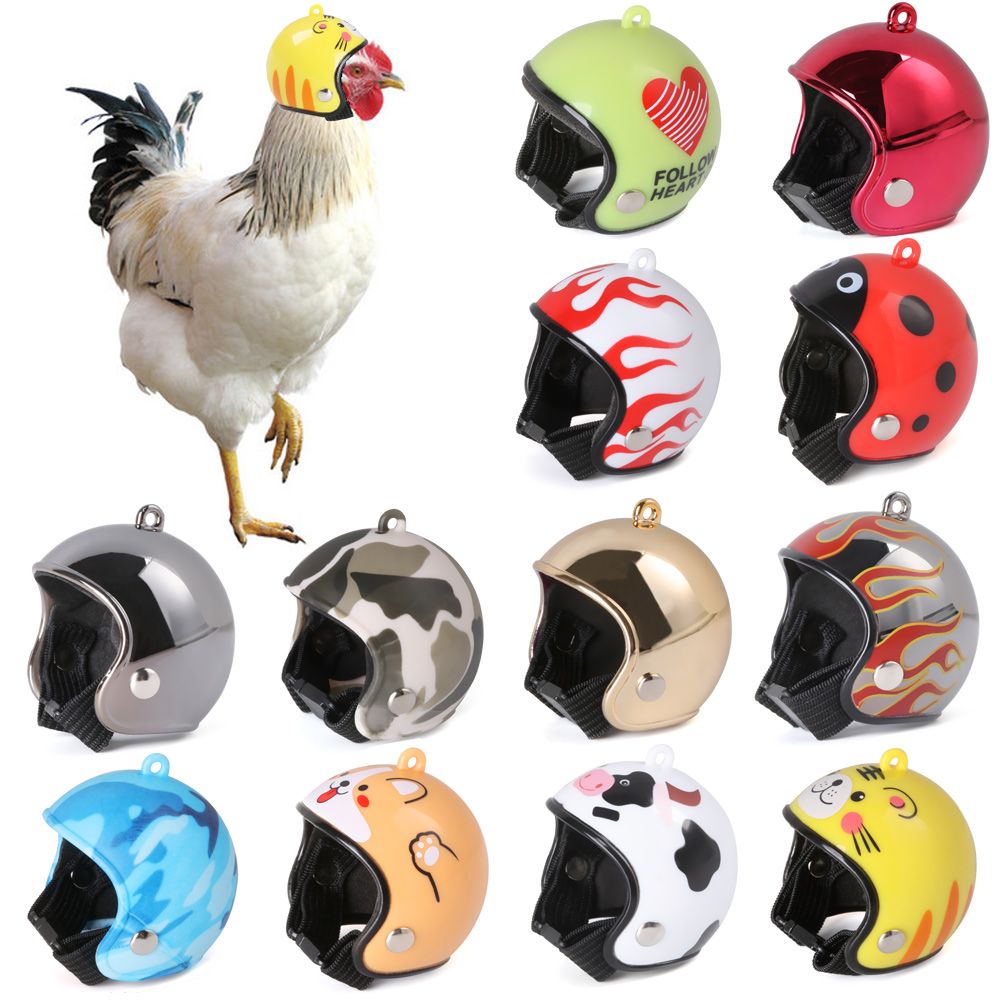 Accessoires pour animaux de co - Pet X Supplies & Tack Reviews avis et prix