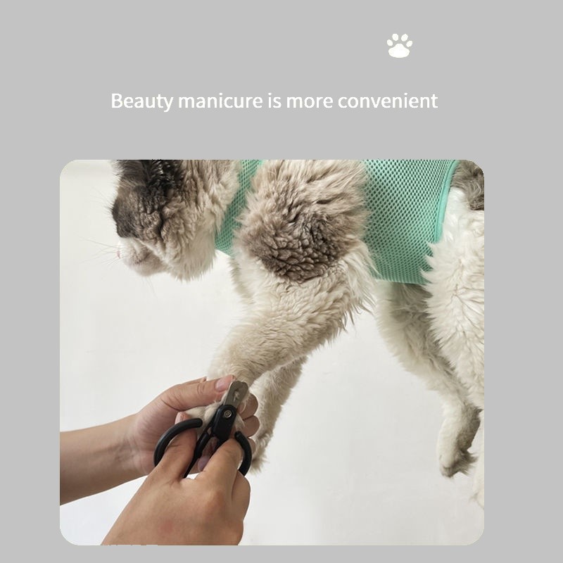 Sac fixe anti-rayures pour toi - Pet Supplies Nail Trim avis et prix
