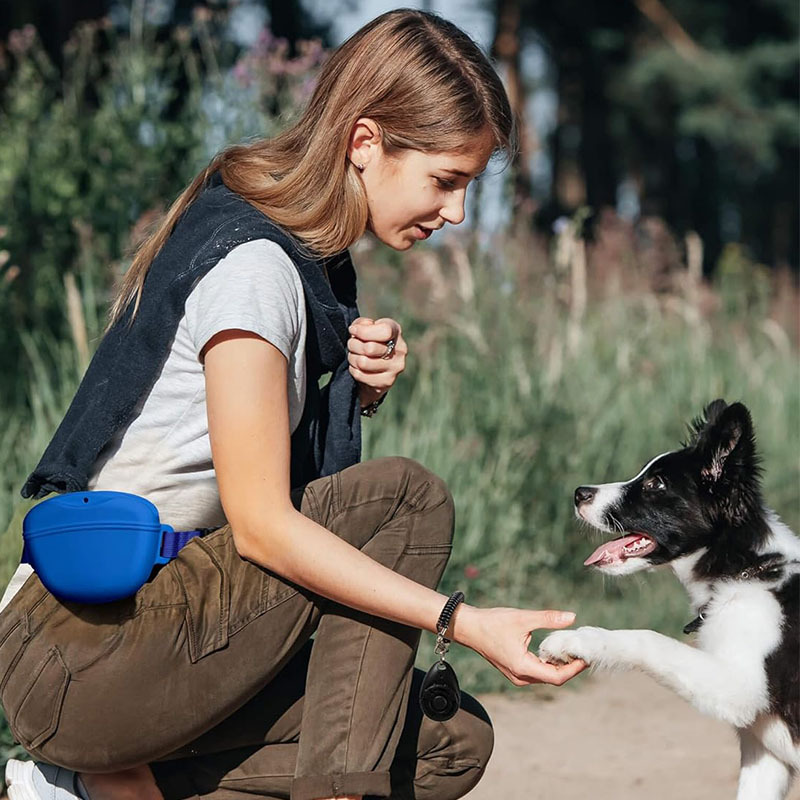 Sac portable en silicone pour  - Pet Supplies Rewards avis et prix