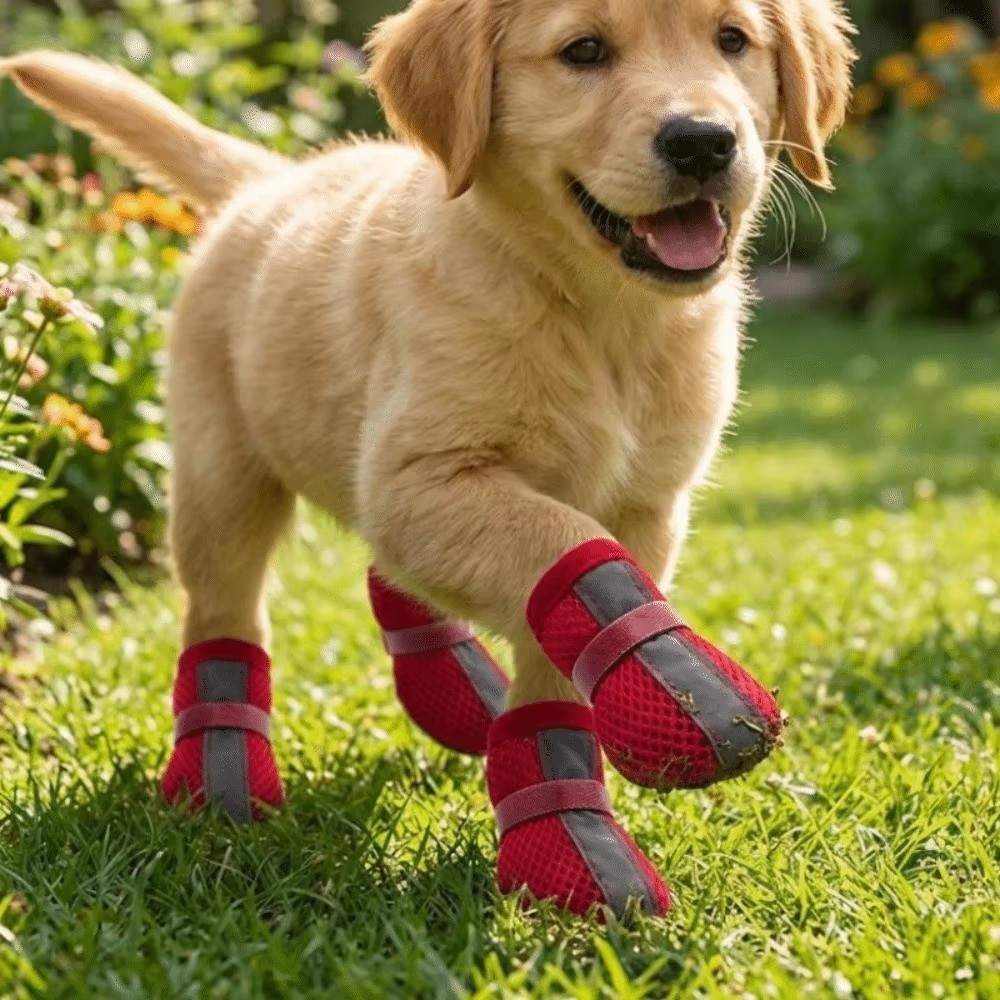 4 pièces/ensemble Chaussures p - Dog Booties Paw Protector avis et prix