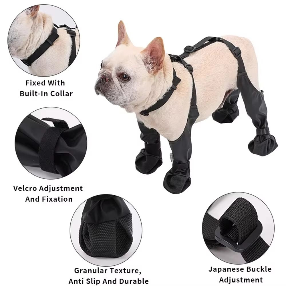 Chaussures Anti-chute imperméa - Dog Booties Paw Protector avis et prix