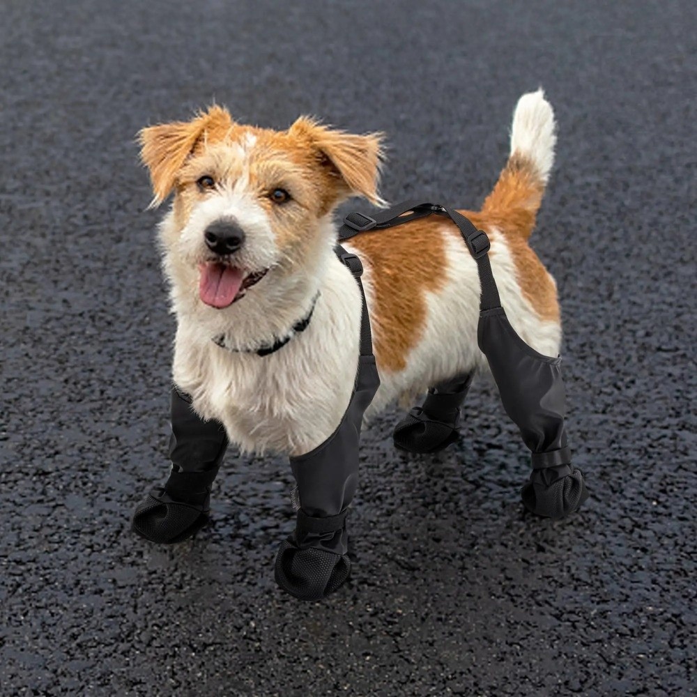 Chaussures Anti-chute imperméa - Dog Booties Paw Protector avis et prix