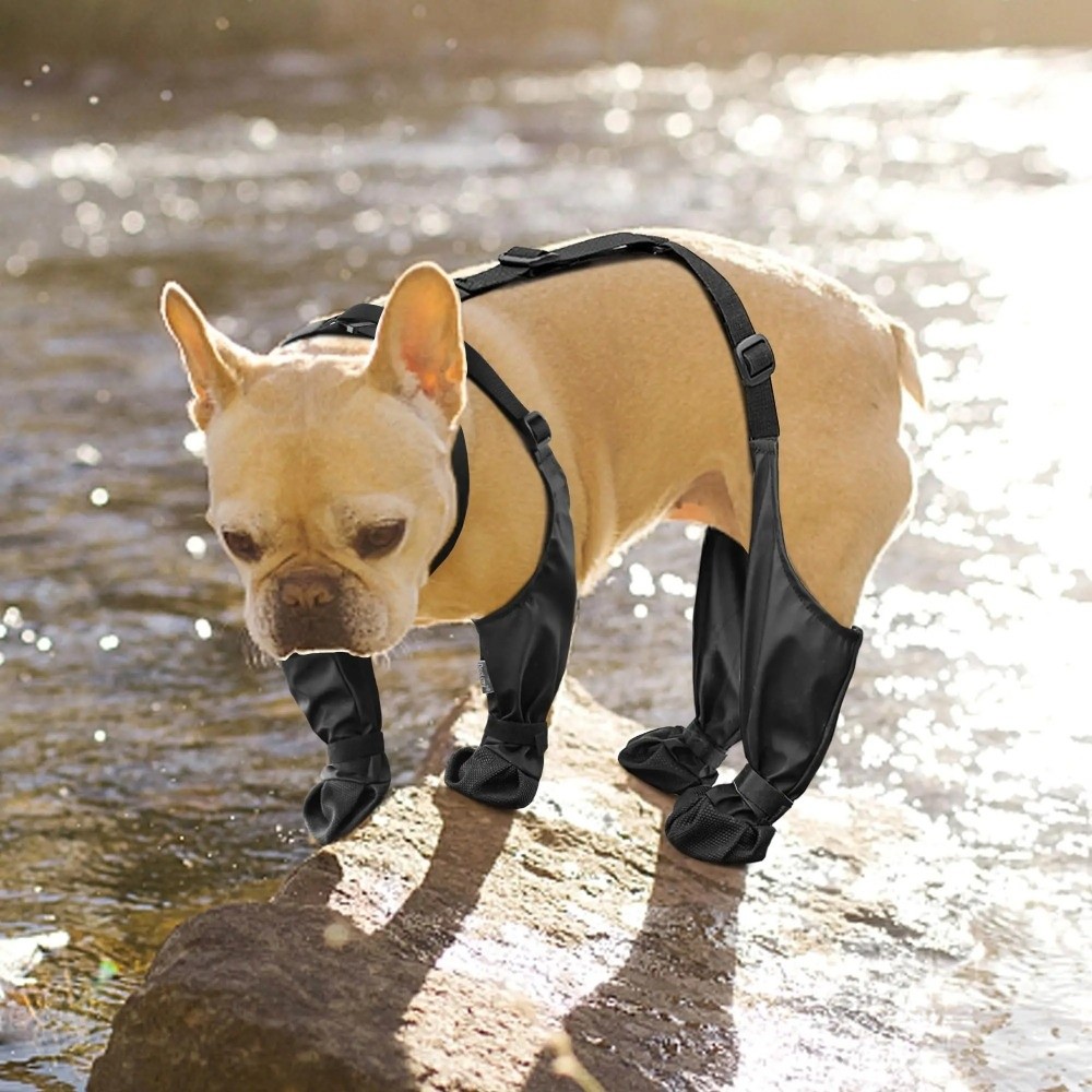 Chaussures Anti-chute imperméa - Dog Booties Paw Protector avis et prix