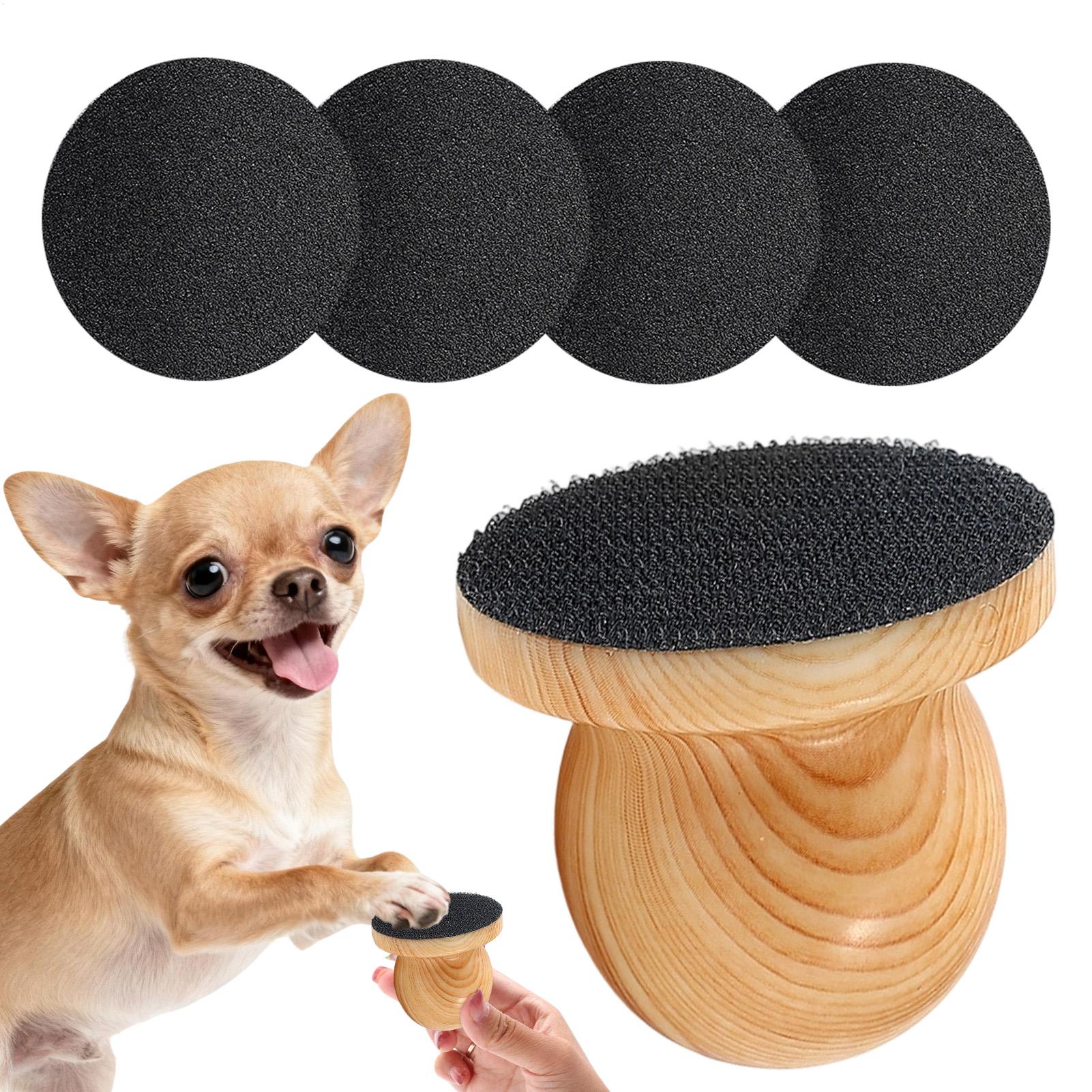 Lime à ongles portative pour c - Pet Supplies Nail Trim avis et prix