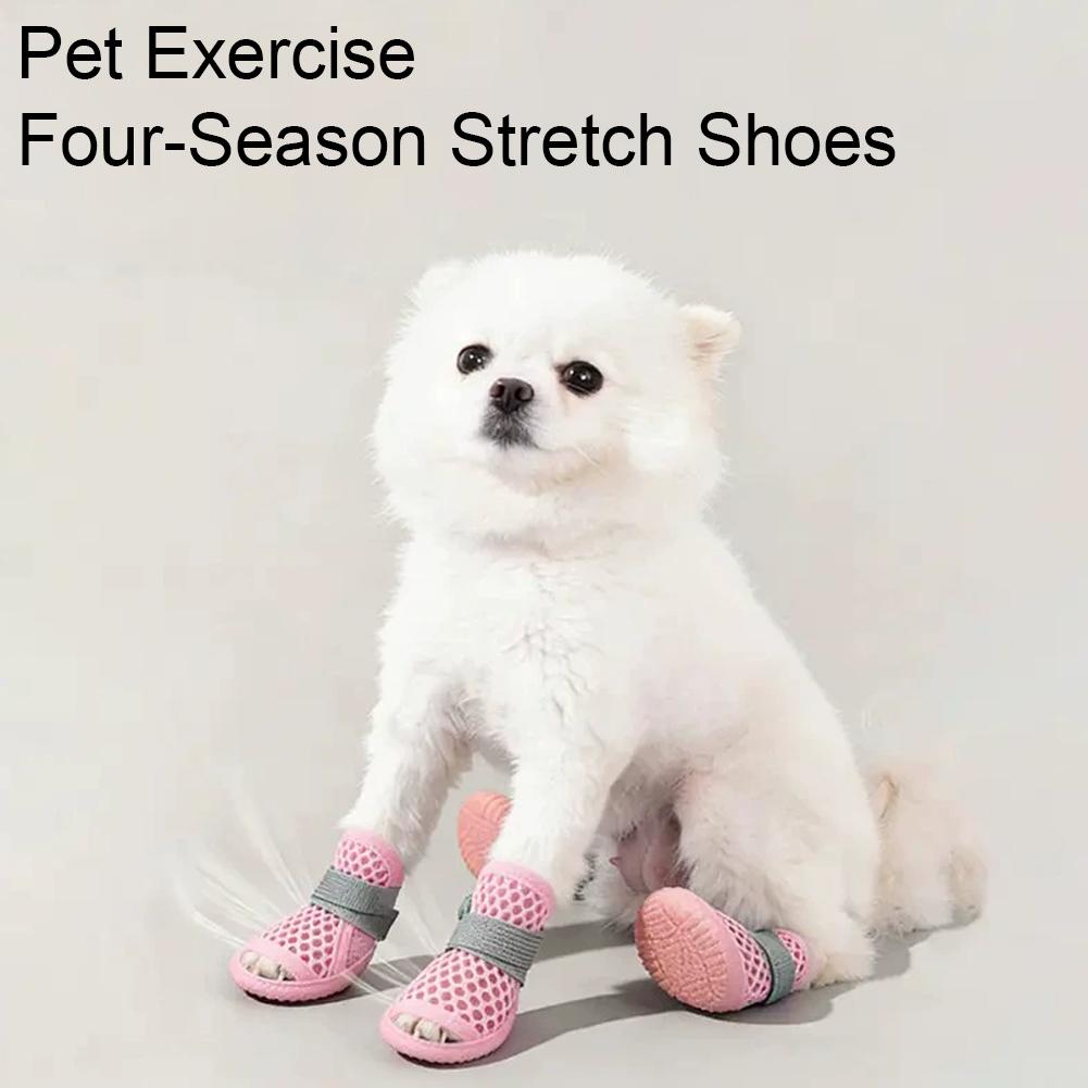 Chaussures d'été respirantes p - Dog Booties Paw Protector avis et prix