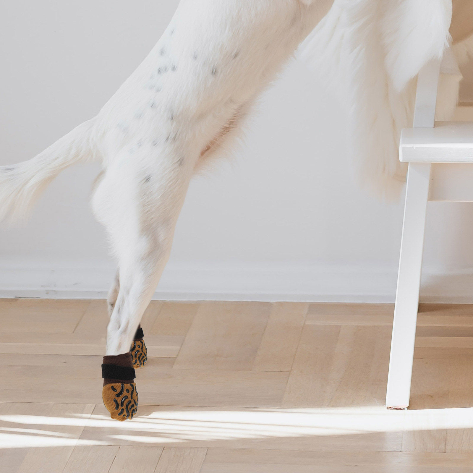4 paires de chaussettes antidé - Dog Booties Paw Protector avis et prix